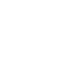 GIZ Logo Small